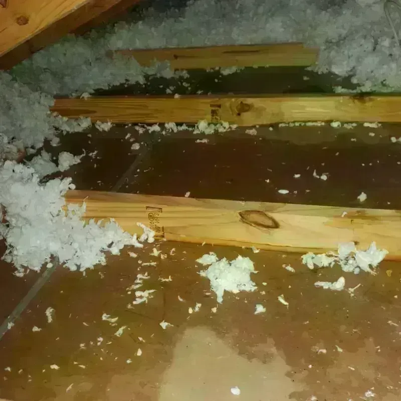 Attic Water Damage in Vienna, GA