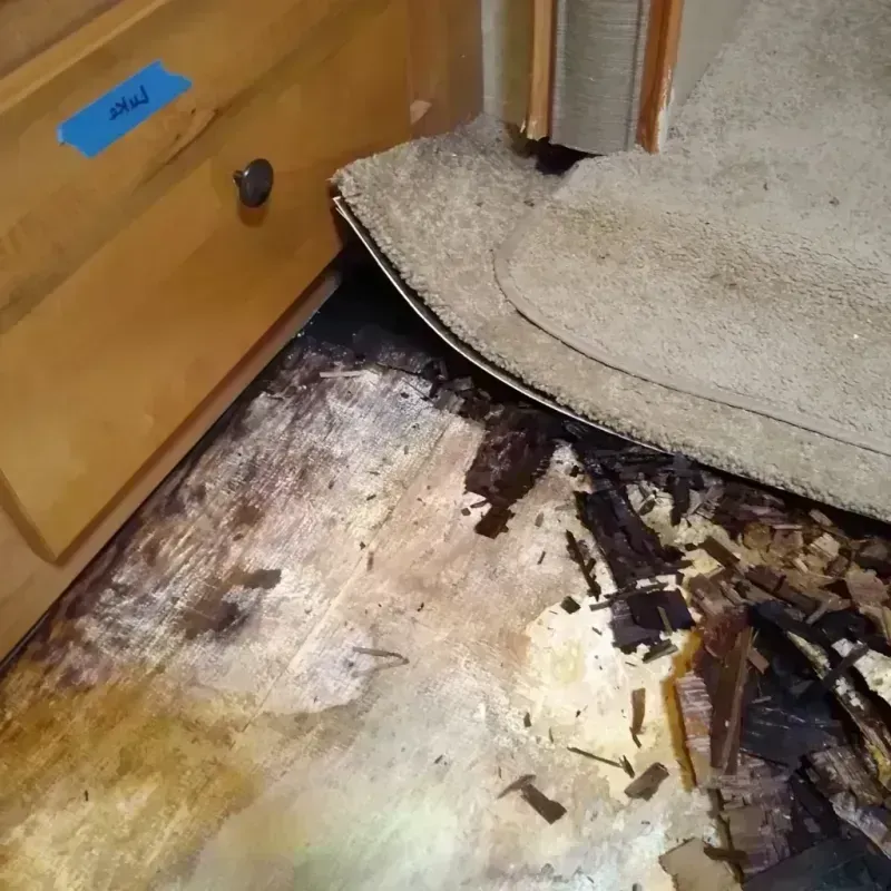 Wood Floor Water Damage in Vienna, GA